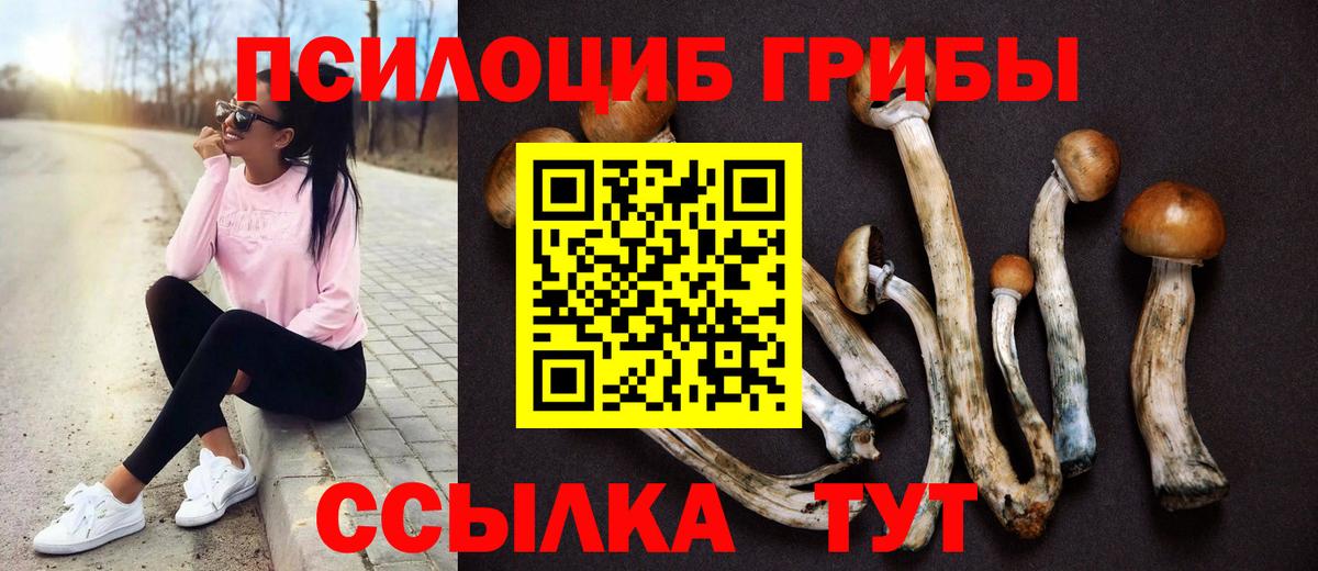 Галлюциногенные грибы ЛСД  Вход с VPN  Ачхой-Мартан  Галлюциногенные грибы Cubensis 