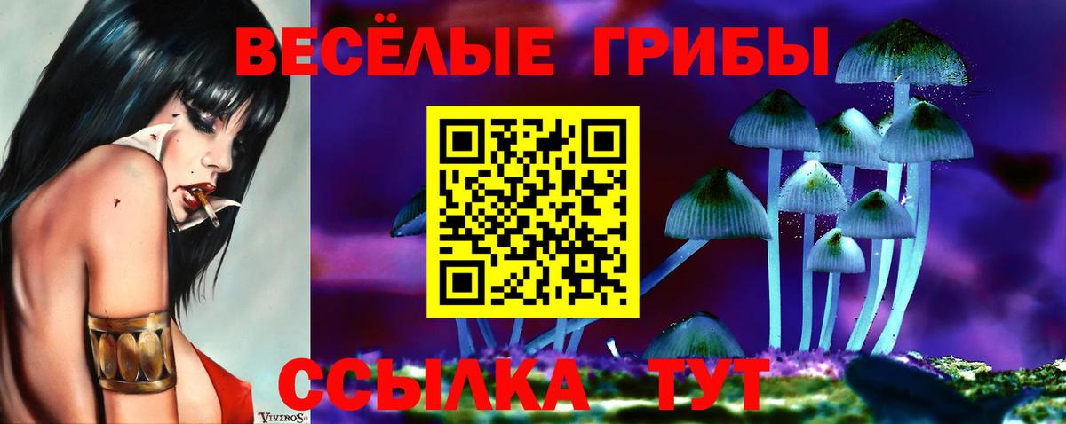 Псилоцибиновые грибы ЛСД Ачхой-Мартан